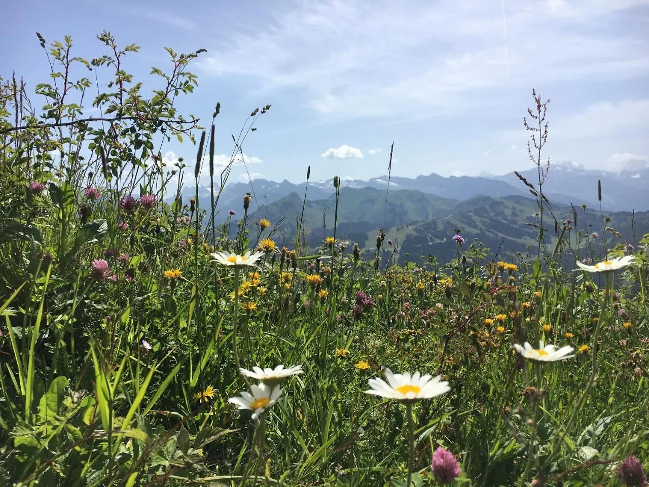 莫尔济讷Colibri Uno公寓 公寓 莫尔济讷