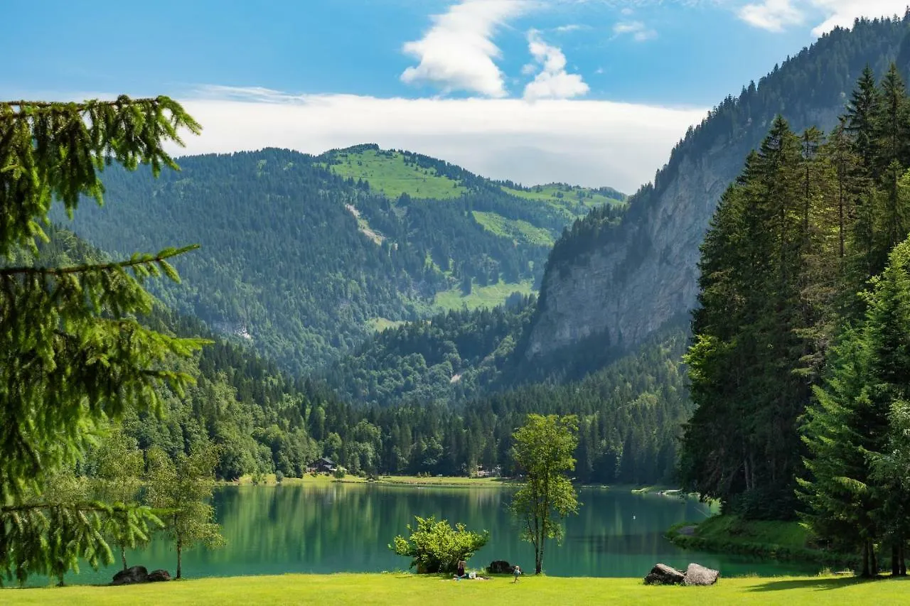 Colibri Uno Apartment Morzine France